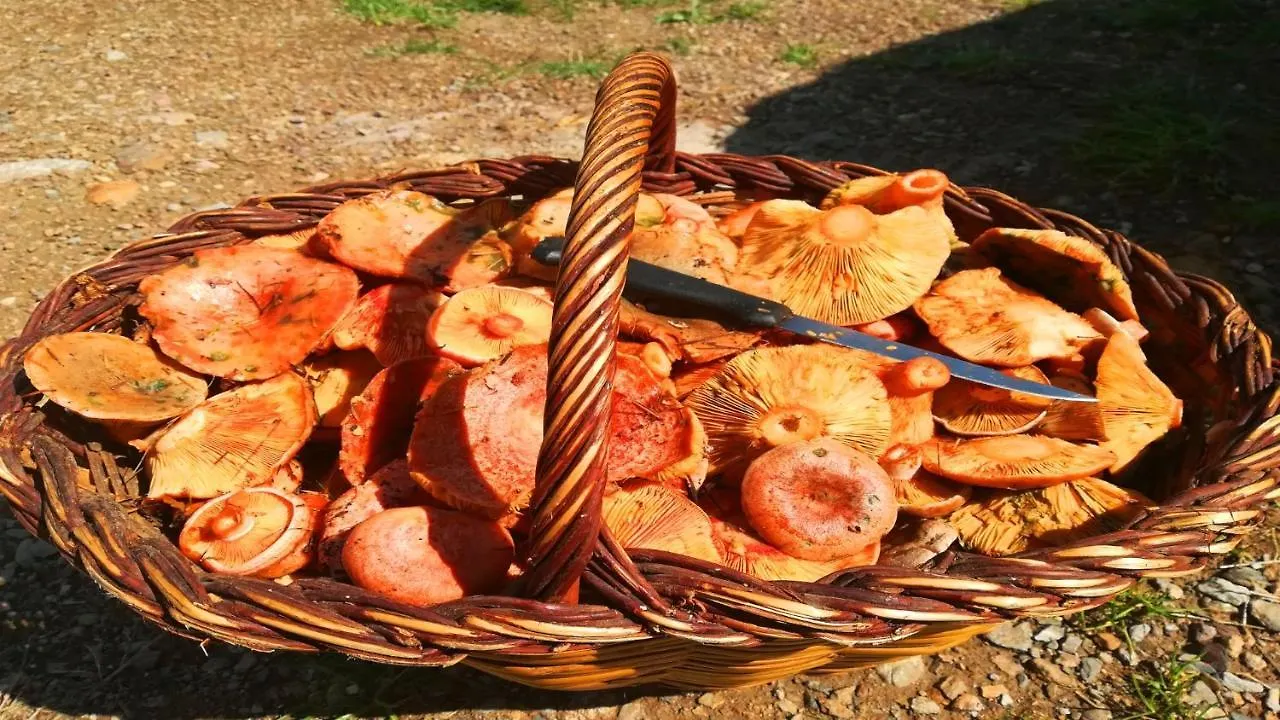 Masias De Rocabruna 0*,  España